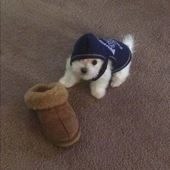 Meet your Posher, Lana - Picture 3 of 6